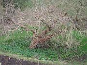 England 2007 Part2 036